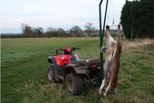 Carcase Handling