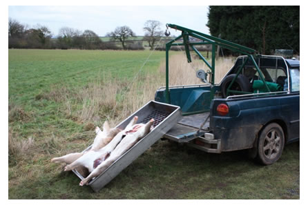 Vehicle Mounted Hoist