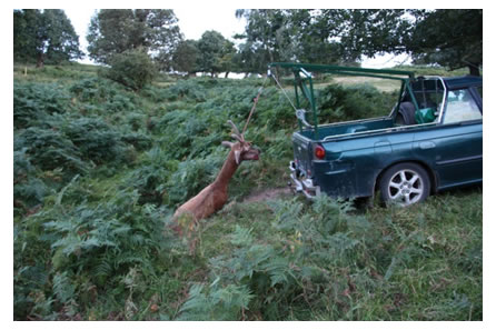 Vehicle Mounted Hoist