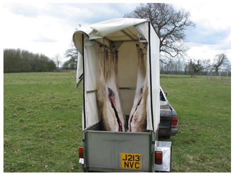 Carcase Transport